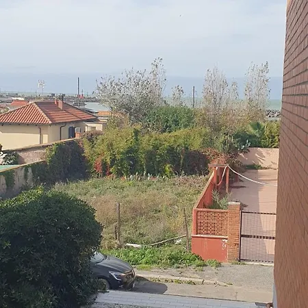 Little Rose 招待所