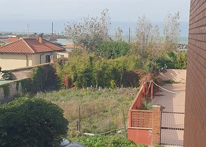 Little Rose 招待所