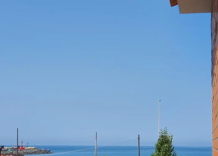 Little Rose 招待所 3*