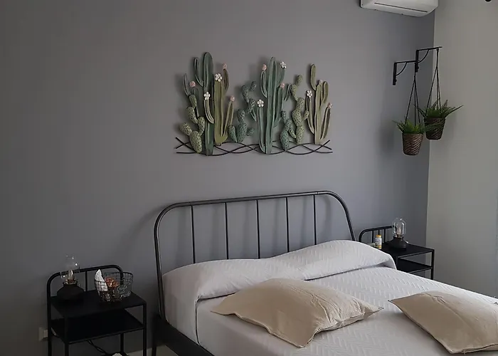 Little Rose 招待所 3*