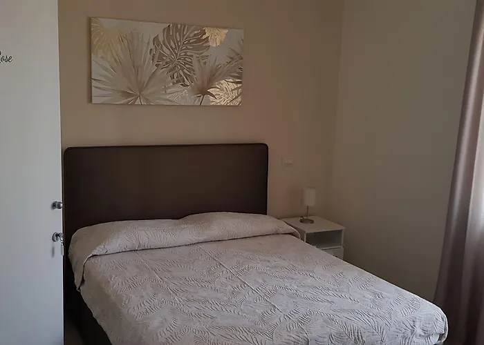 Little Rose 招待所 3*