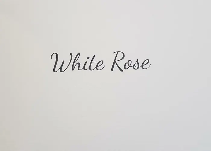 Little Rose 招待所 菲乌米奇诺